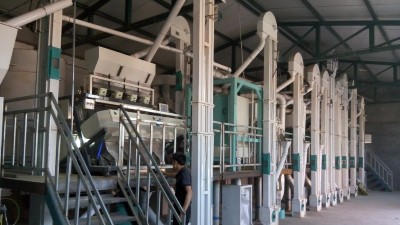 小米加工成套设备的核心技术的研究