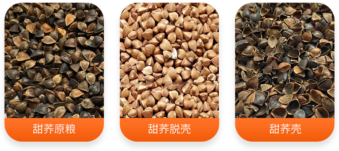 甜荞脱壳成套设备产成品图