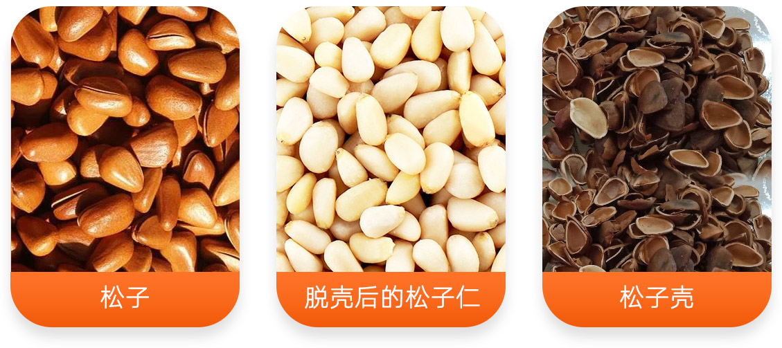 松子脱壳成套设备产成品图