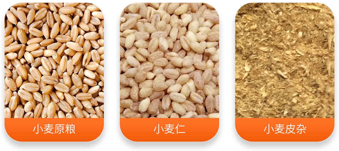 HTX系列小麦脱皮机产成品图