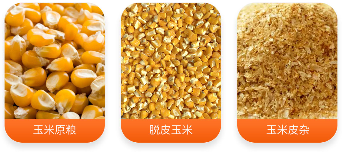 HTPD17x2玉米节能去胚抛光机产成品图