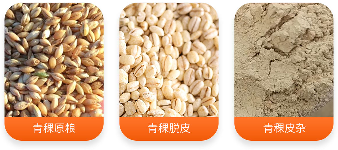 青稞加工生产线产成品图