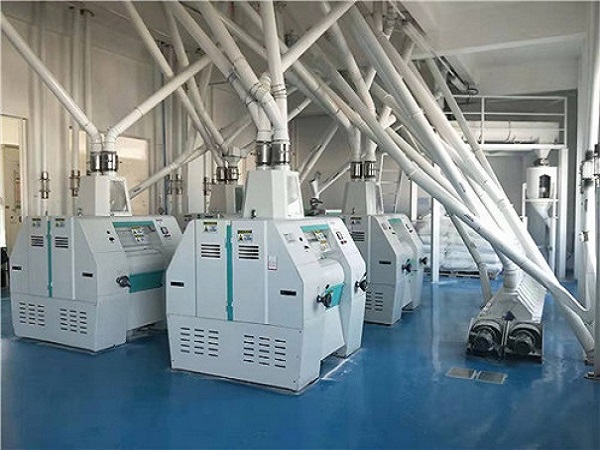 陕西日产500吨玉米面加工成套设备安装完成