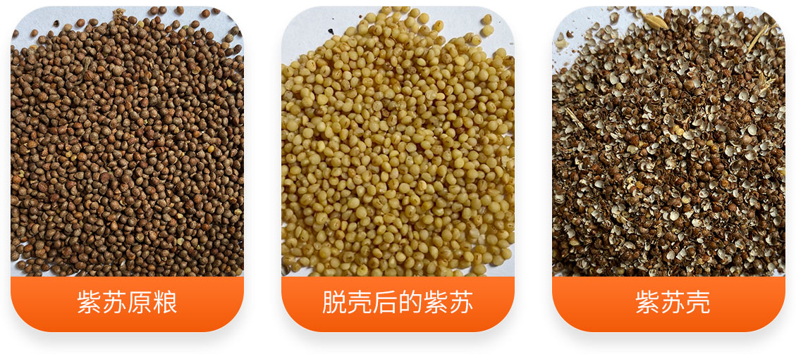 LTZ-30系列紫苏籽脱皮机产成品图