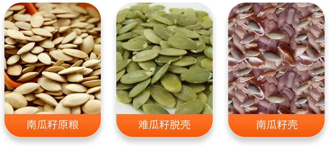 南瓜子脱壳机产成品图