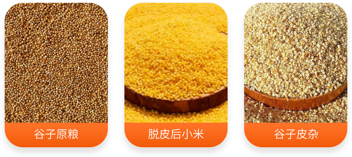 HTG系列高粱脱皮机产成品图