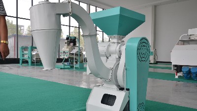 农村小杂粮加工行业的前景怎么样？