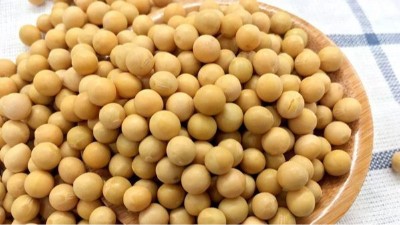 关于黄豆脱皮前我们所要知道的小知识