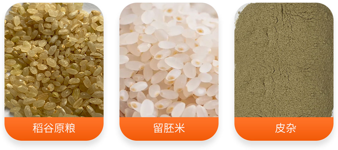 小型胚芽米机产成品图