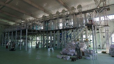 探讨玉米脱皮工序会受到哪些因素影响