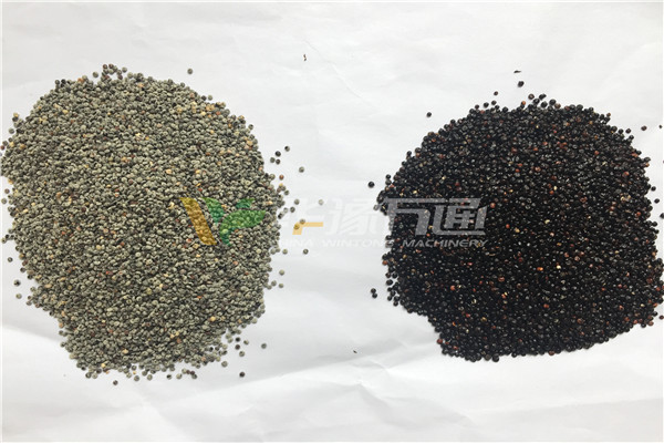 云南藜麦脱皮加工生产线