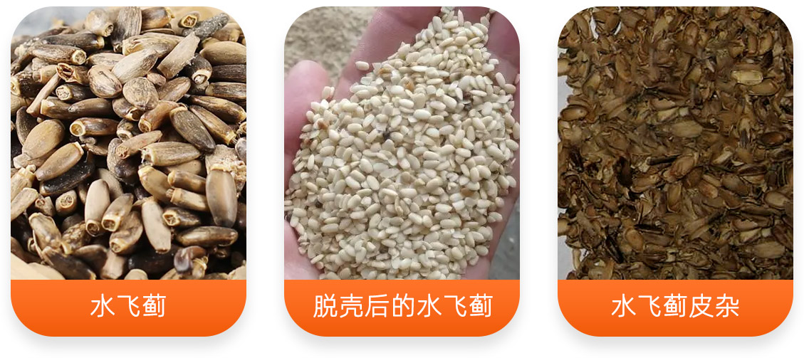 水飞蓟脱壳成套设备产成品图