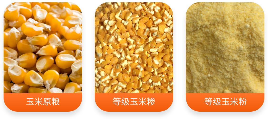 HTZ28-45玉米杂粮脱皮制粉机组产成品图