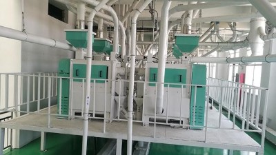 10万吨豌豆加工设备助力企业大发展