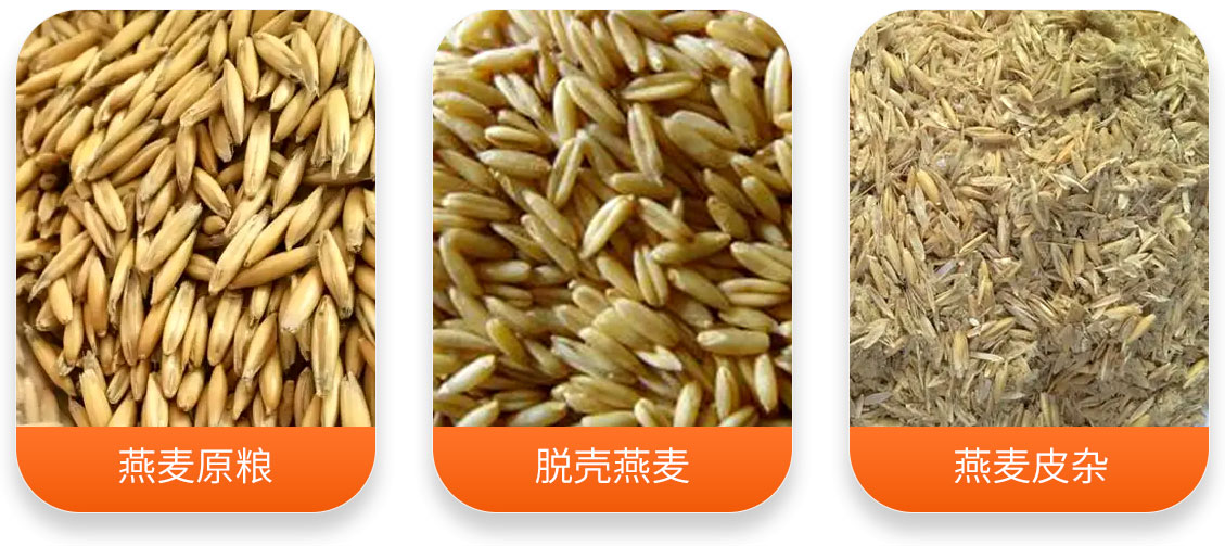 燕麦脱壳成套设备产成品图