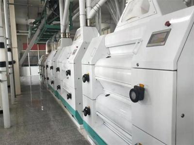 100吨级面粉加工设备安徽合肥客户加工现场