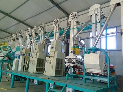 日产50吨大米深加工设备桂林客户加工现场