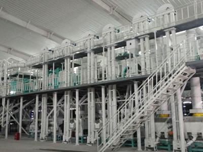200吨级玉米加工成套设备山东淄博客户加工现场