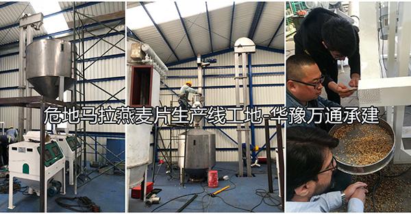 危地马拉2吨燕麦脱壳1吨燕麦切粒压片成套设备