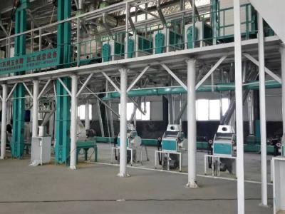日产50吨玉米深加工设备南宁客户加工现场